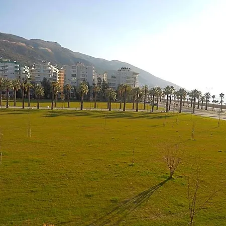 Onorato فلورا